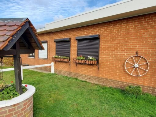 Facebook – 126887283_2444303485875746_7078568463593284372_n